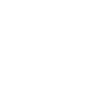 Cost Reduction Icon White