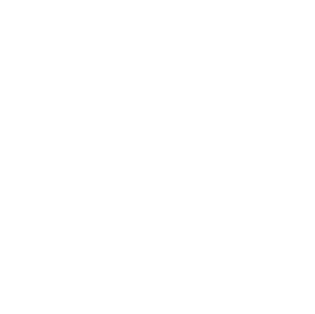 Axil Health and Safety Icon White