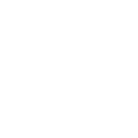 Axil Partnership Icon White