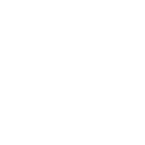 Axil Work Incidents Icon White