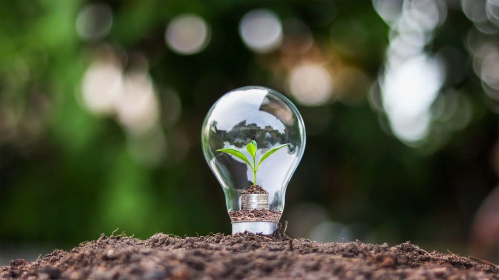 lights bulb planted in the ground with plant inside it