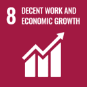 Sustainable Development Goal 8