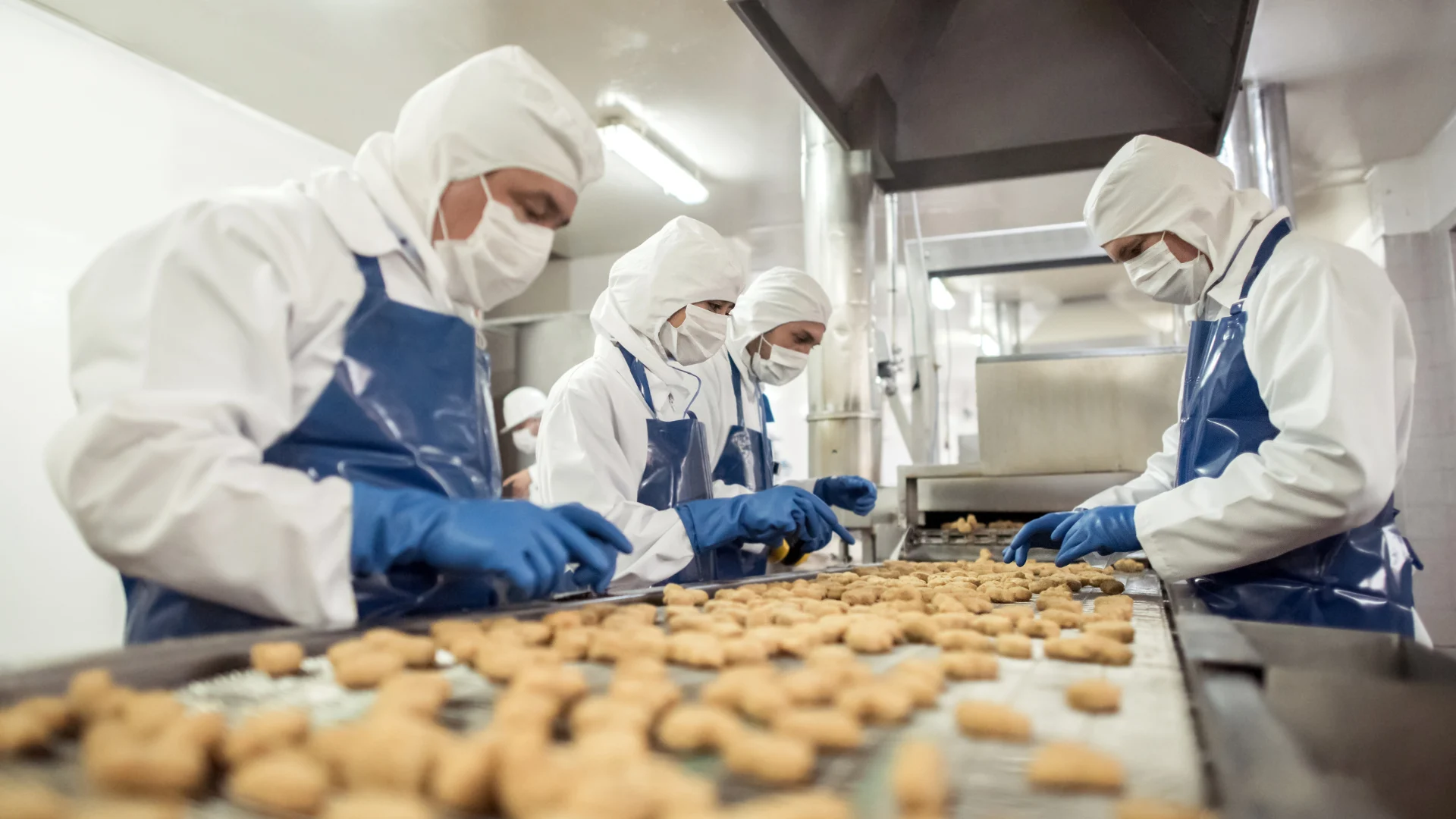 Food manufacturing production