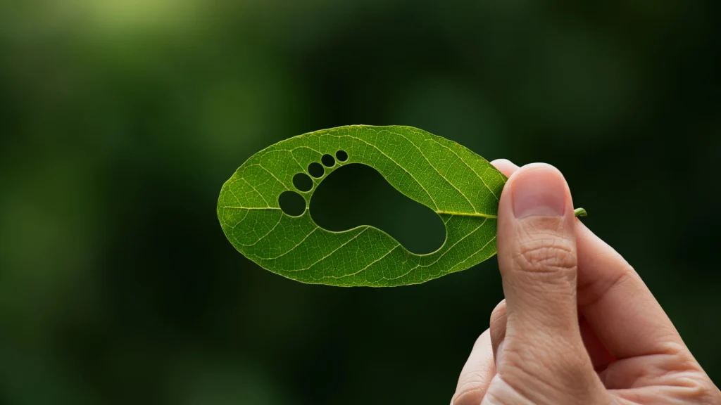 Foot imprint in small leaf, showing carbon footprint in imagery 