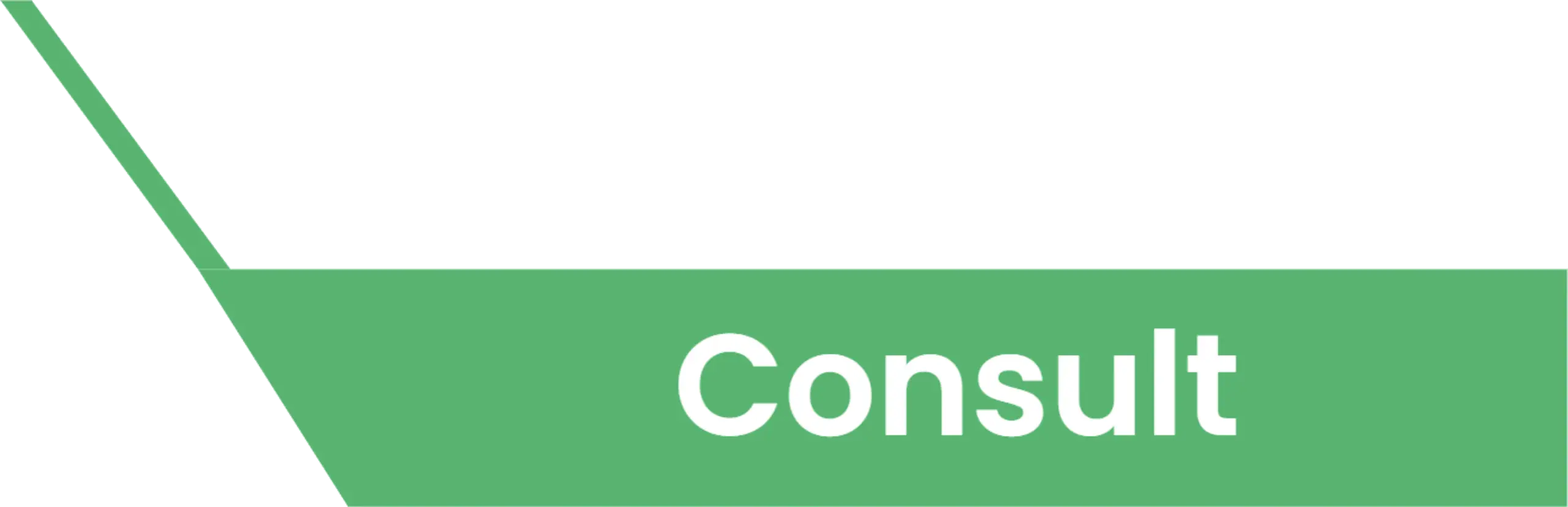 Sustainability Consulting