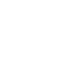 Money icon white