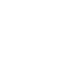 Segregation Icon White